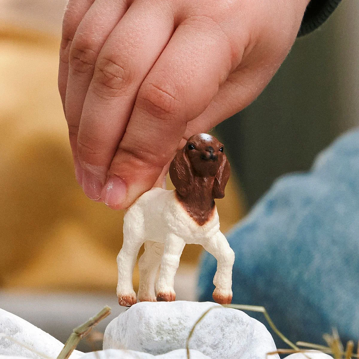 Boer Goat kid - Image 2