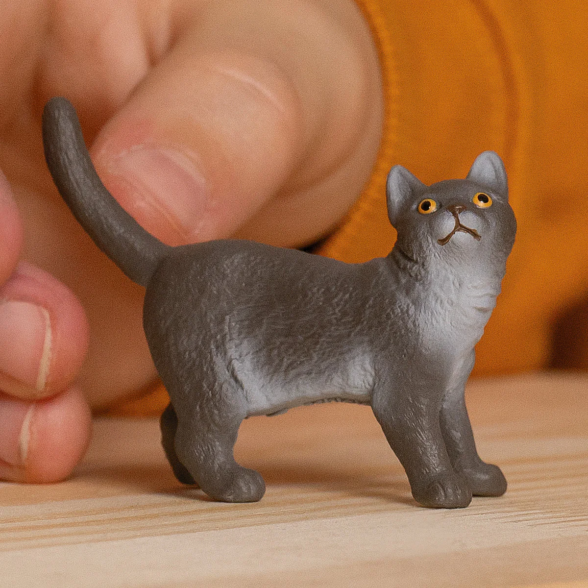 British Shorthair Cat - Image 2