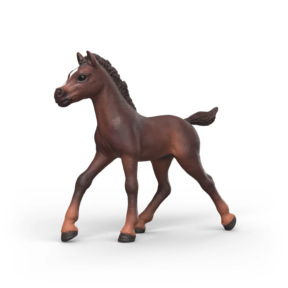 Collectible Foal Ravi
