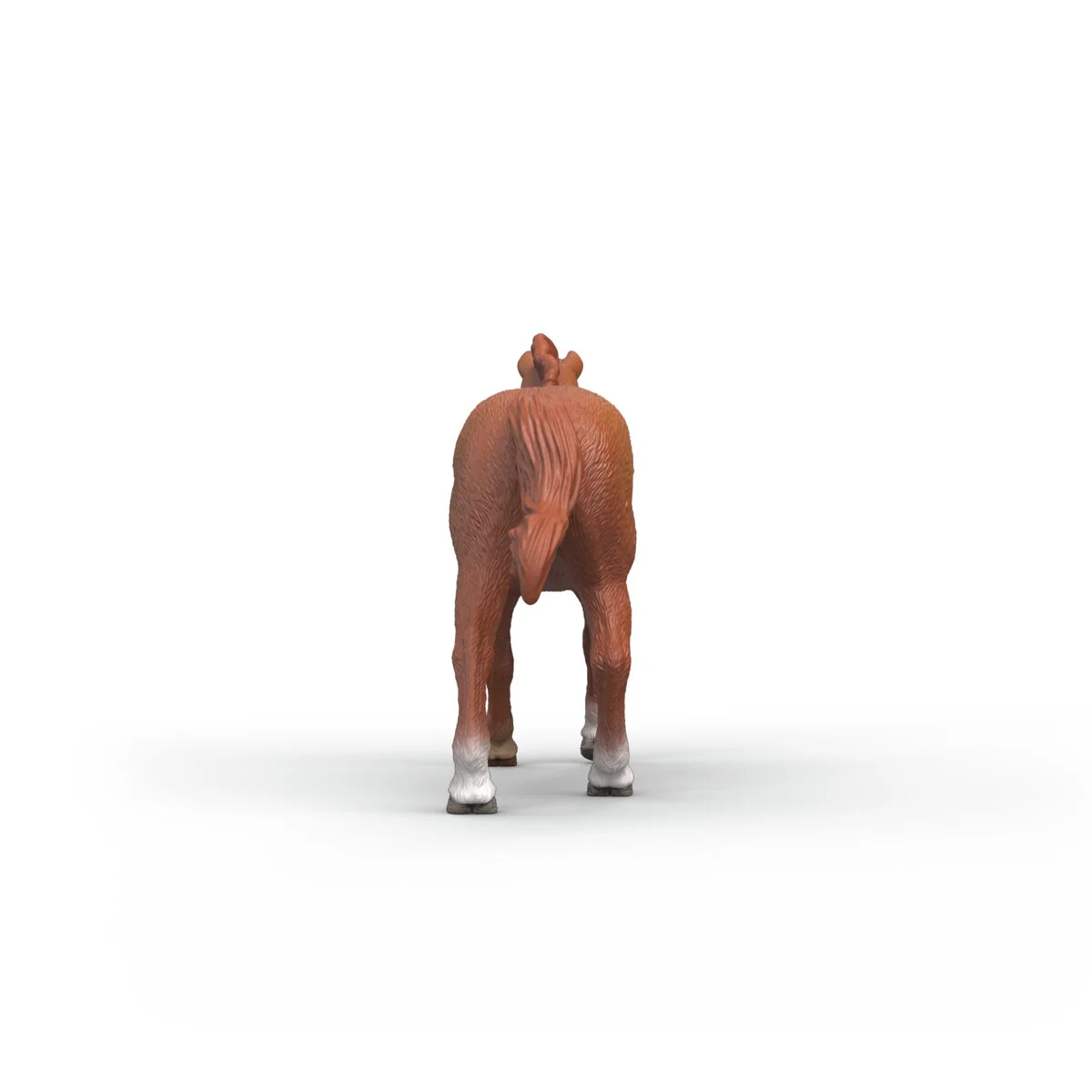 English Thoroughbred Stallion - Image 4