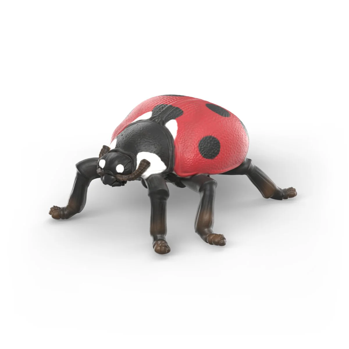 Insects discovery set - Image 8