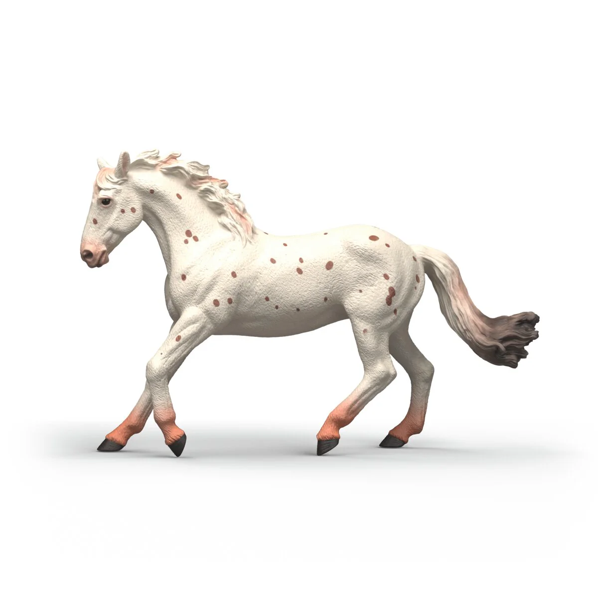 Knabstrupper Mare - Image 6