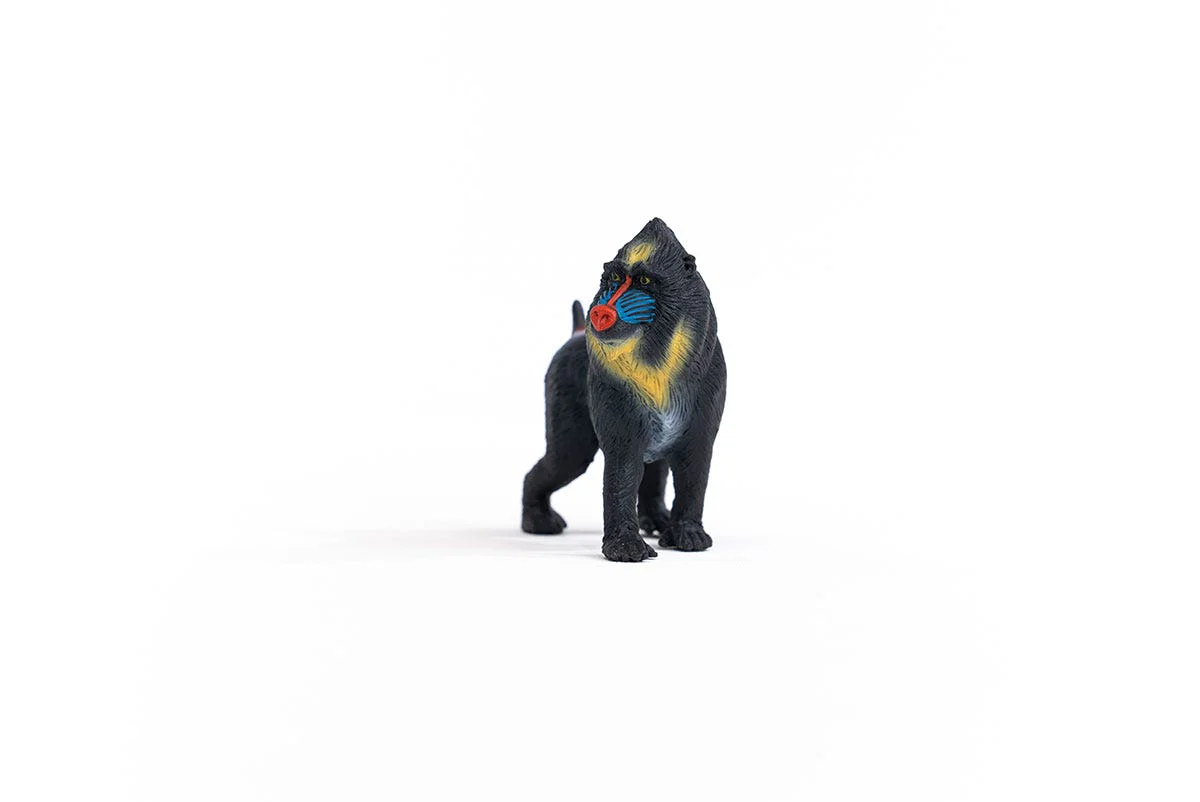 Mandrill - Image 6