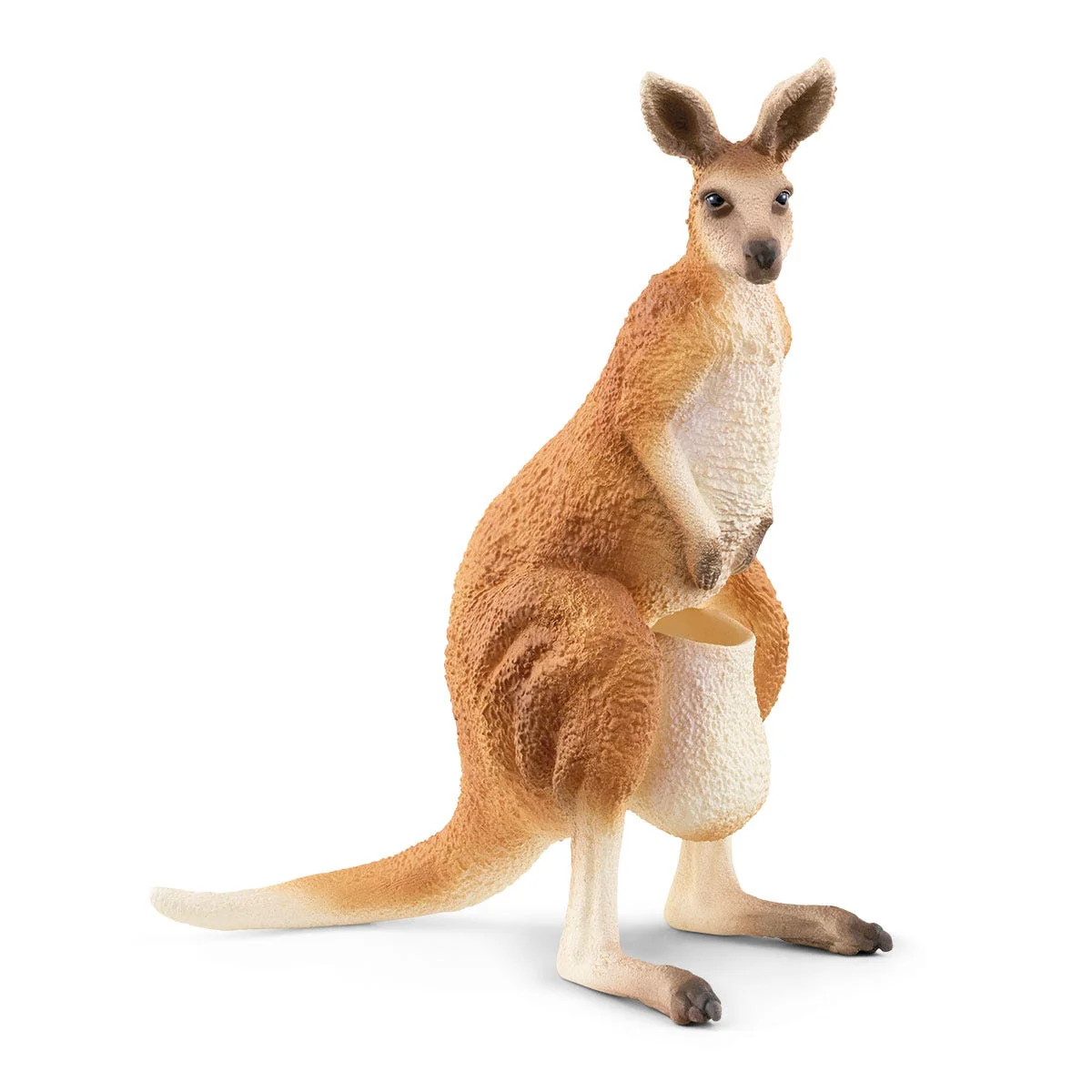 Outback Adventures - Image 12