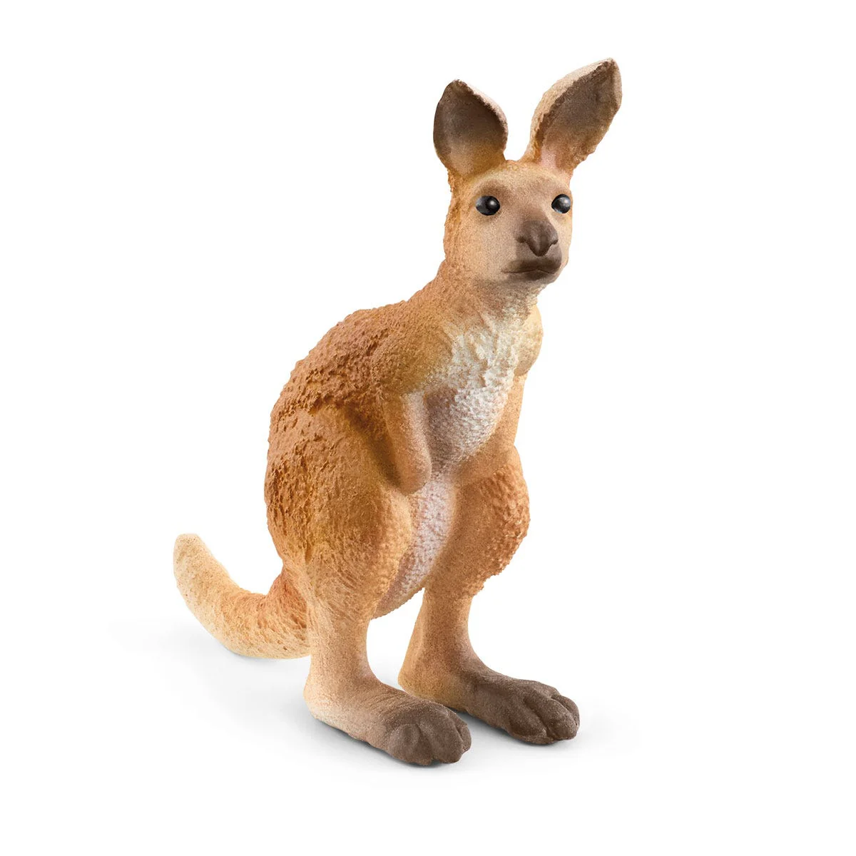 Outback Adventures - Image 13