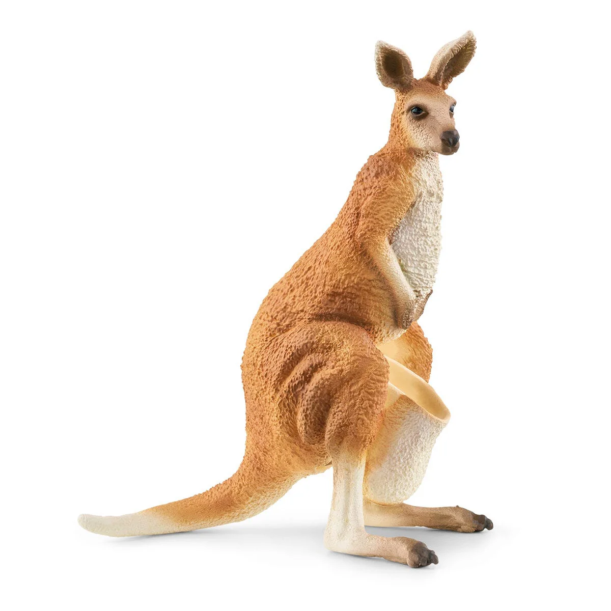 Outback Adventures - Image 4