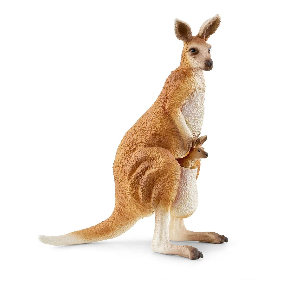 Outback Adventures - Image 7
