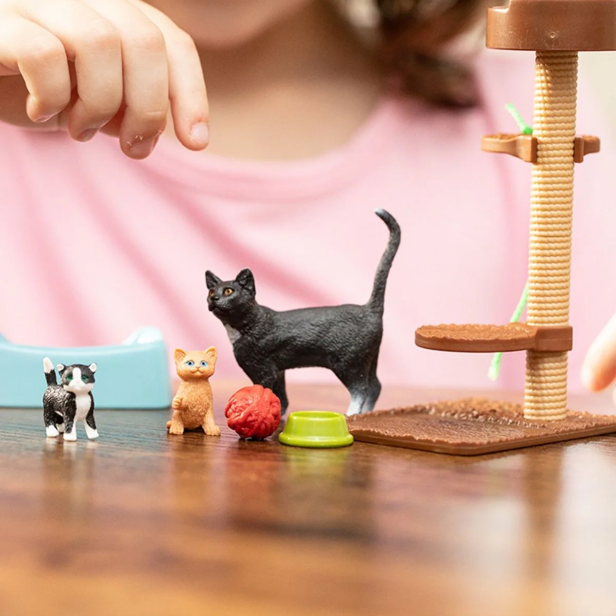 Playtime for cute cats - Image 3