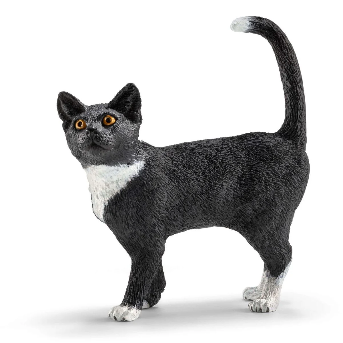 Playtime for cute cats - Image 8
