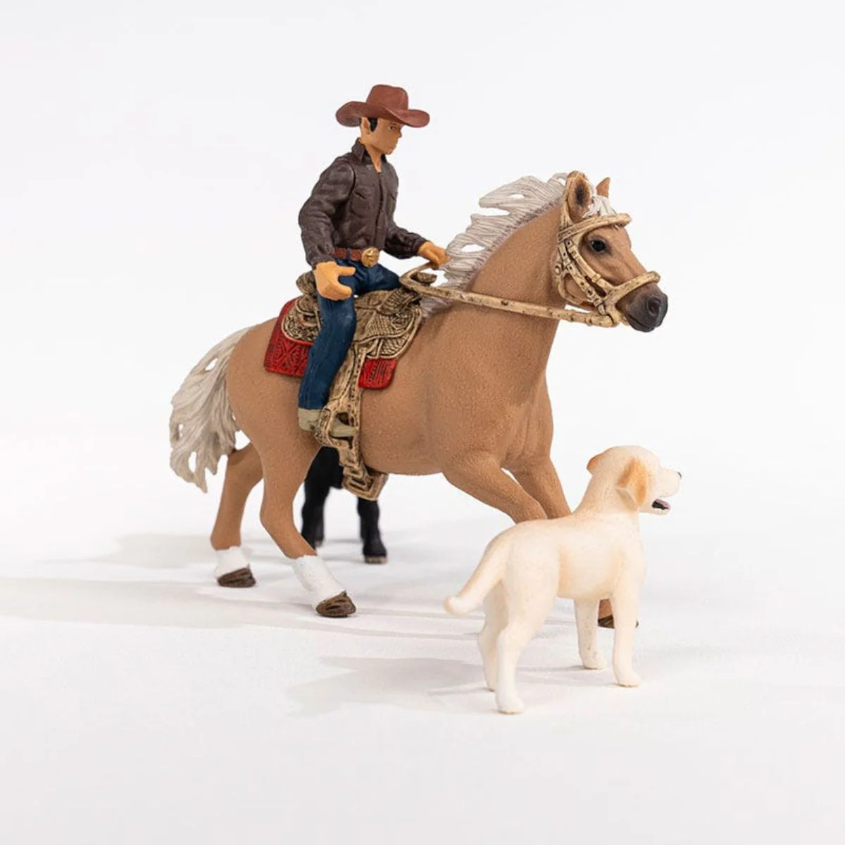 Western Riding Adventures - Image 5