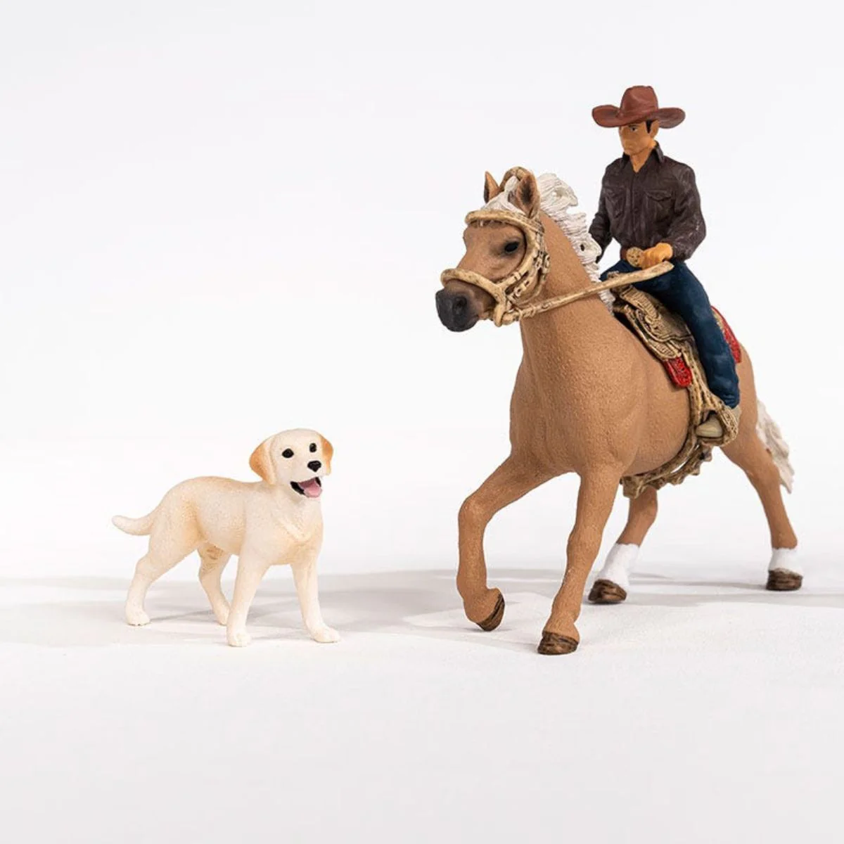 Western Riding Adventures - Image 6